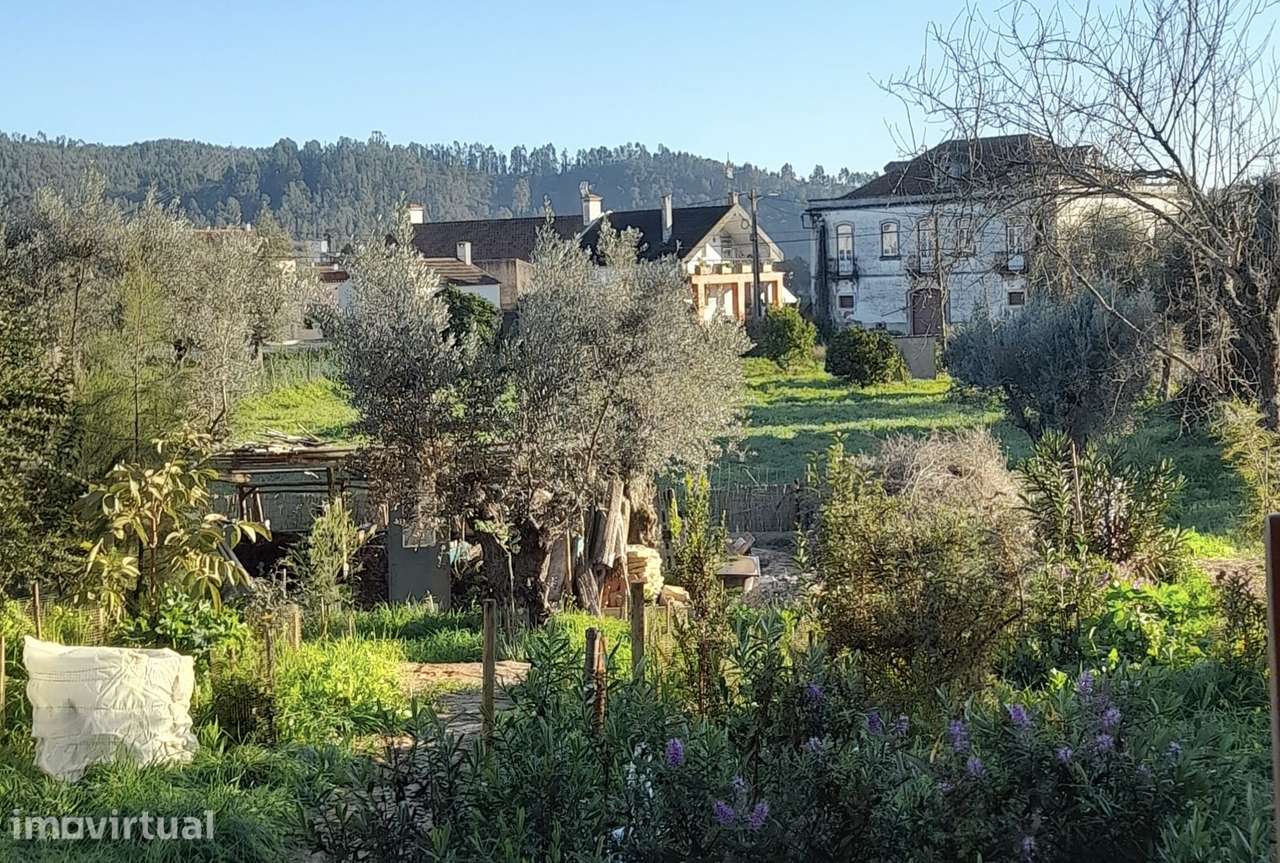 Apartamento Loft numa uma quinta rural de produção biologica - Grande imagem: 2/19