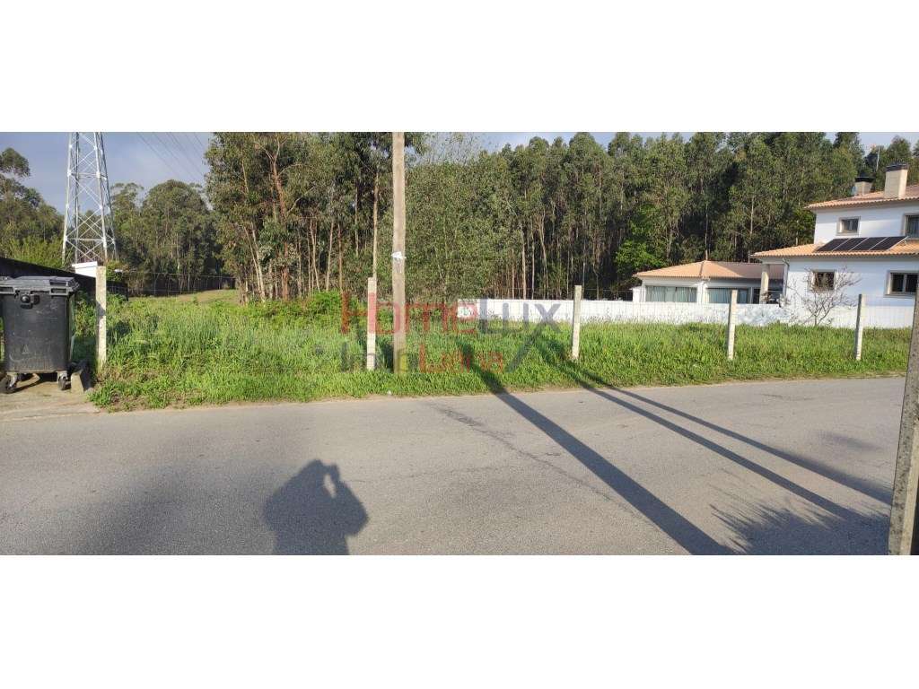 Terreno Urbano na Branca - Grande imagem: 4/14