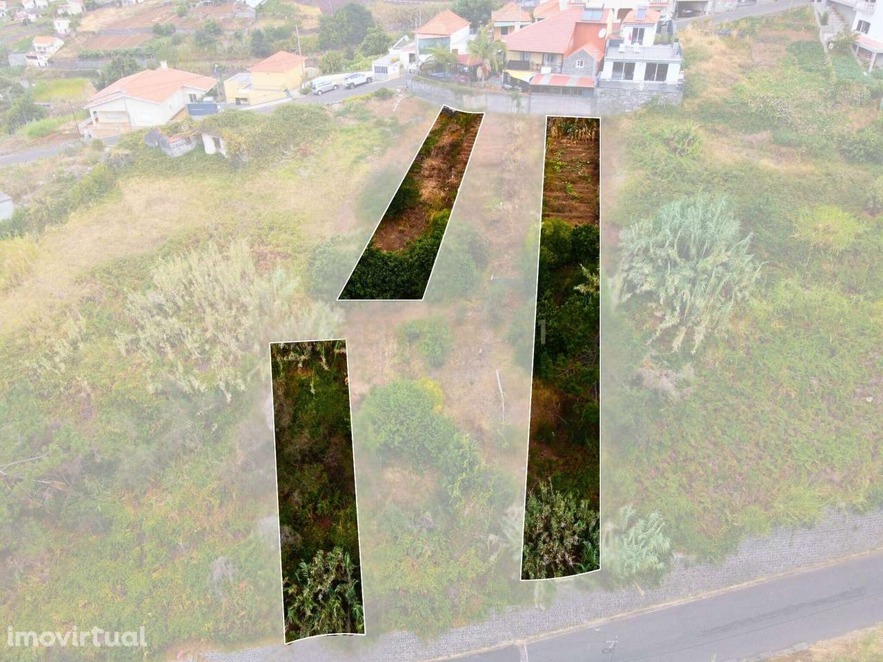 Terreno Rústico nas Faias, Arco da Calheta - Oportunidade Única! - Grande imagem: 3/10