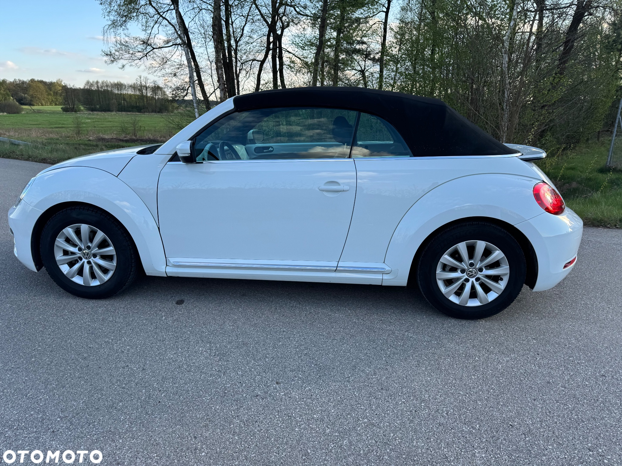 Volkswagen Beetle - 11