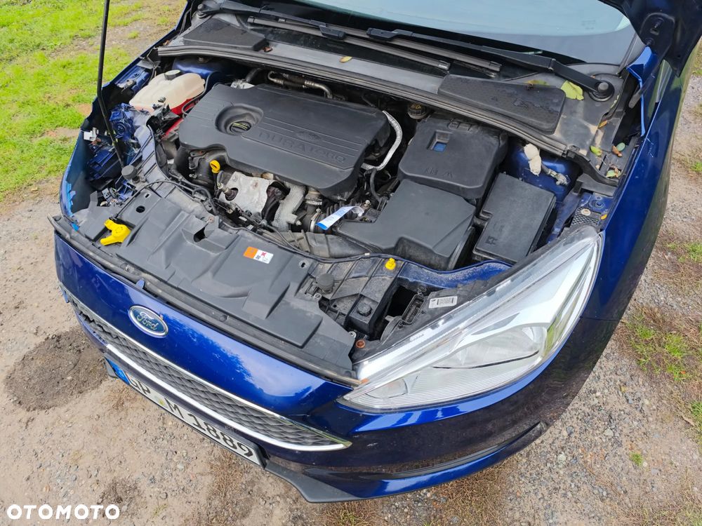 Ford Focus - 18