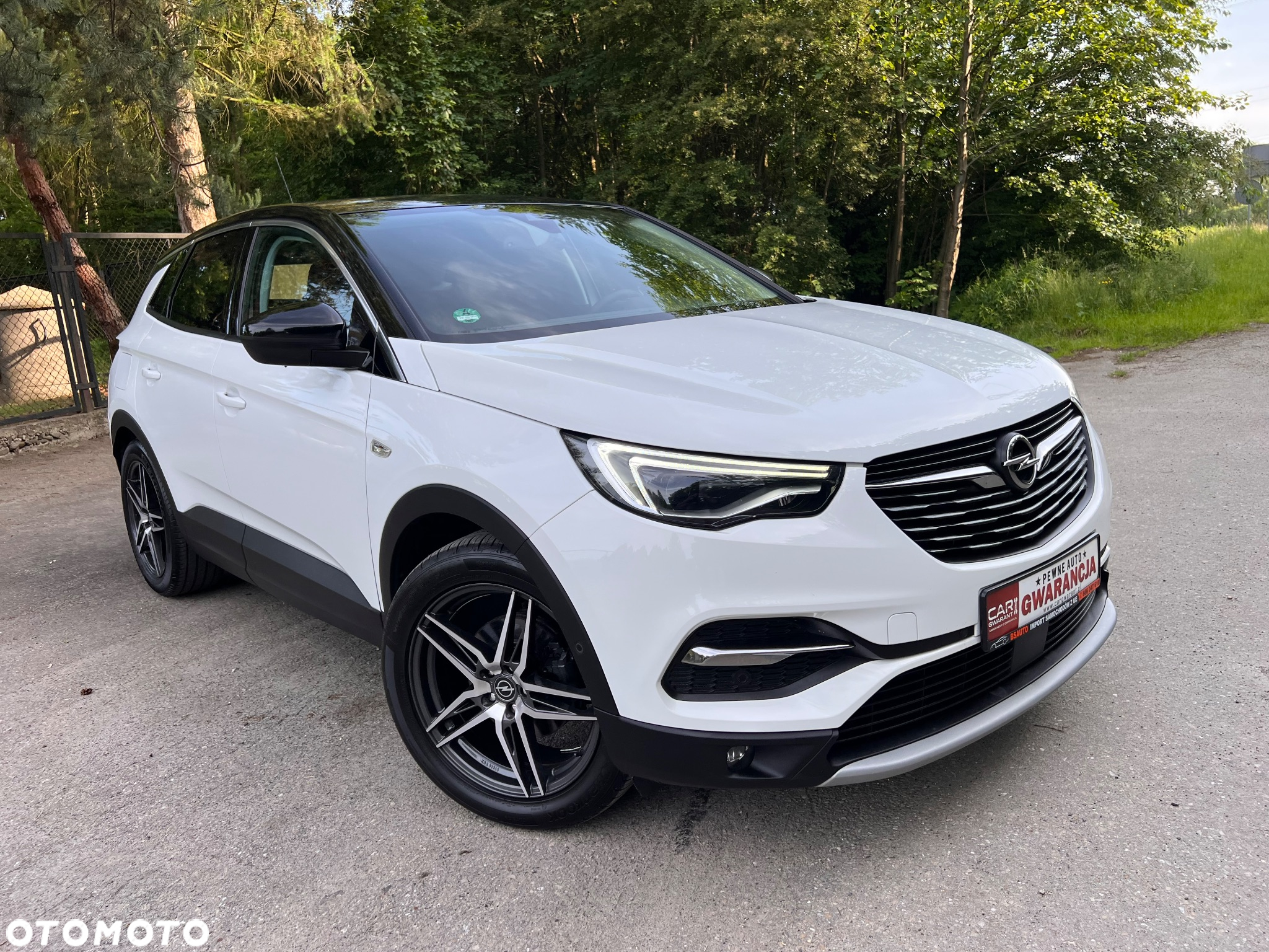 Opel Grandland X 2.0 CDTI Innovation S&S - 2