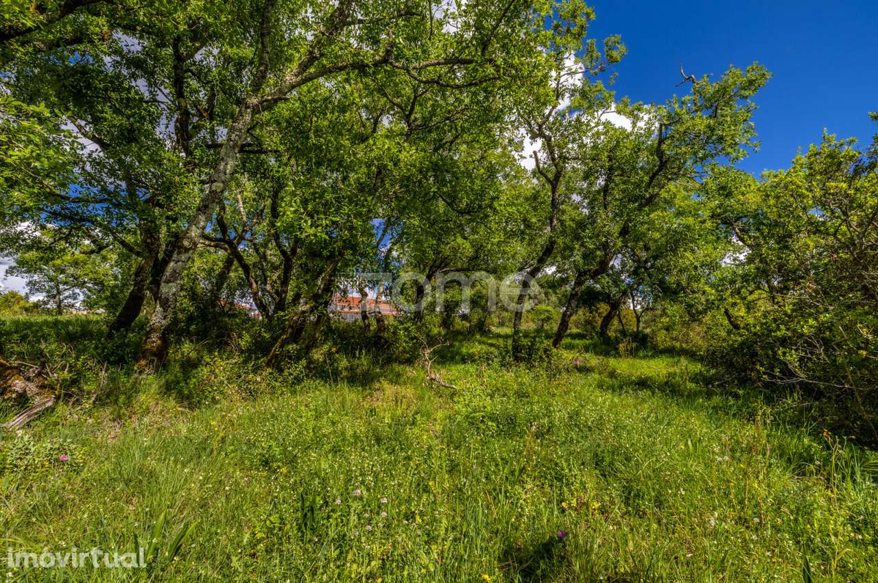 Terreno Urbanizável a 5 min. da Batalha - Grande imagem: 2/41