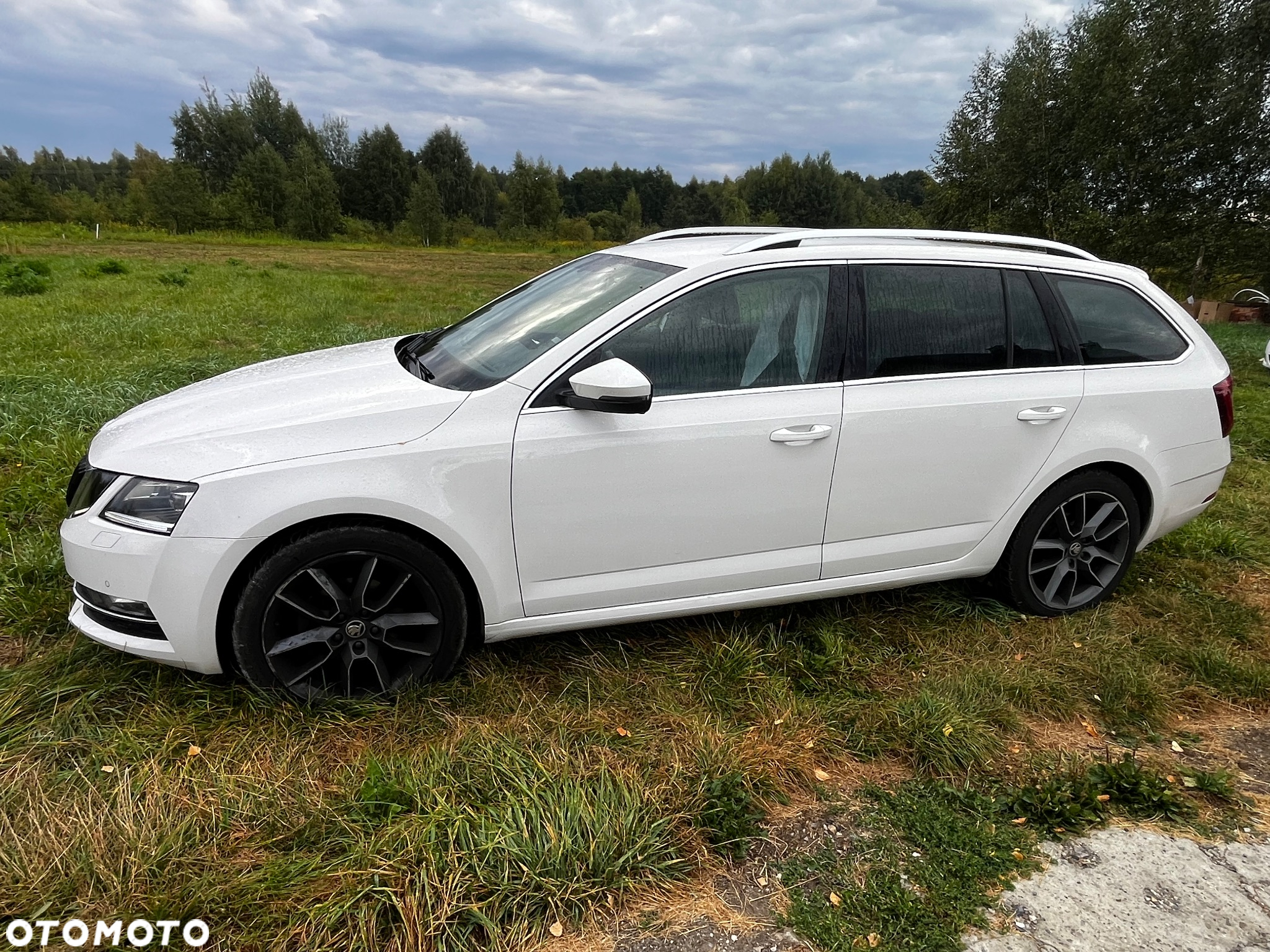 Skoda Octavia 1.6 TDI Style DSG - 2