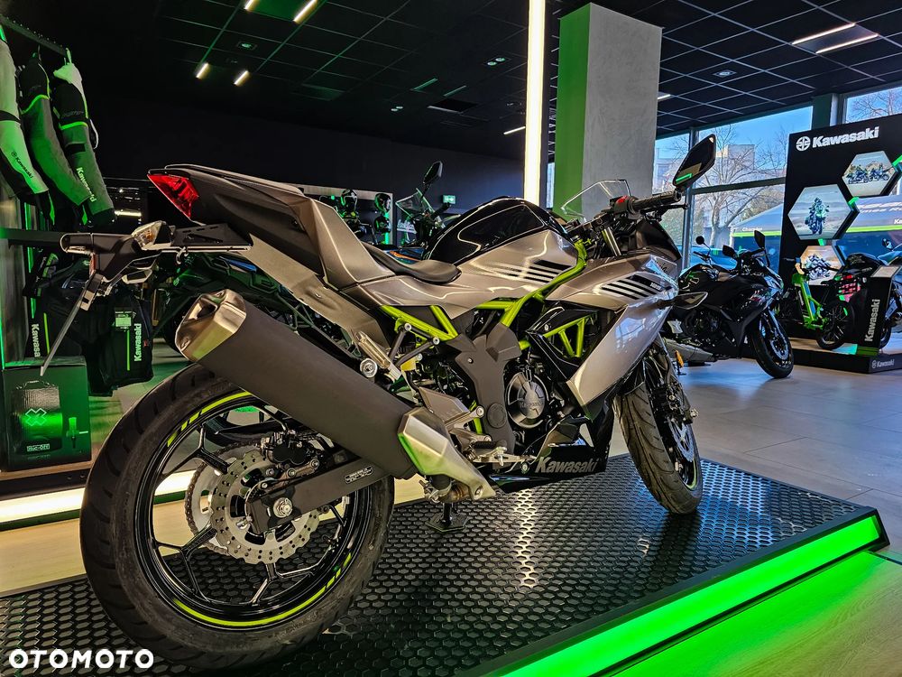 Kawasaki Ninja - 7
