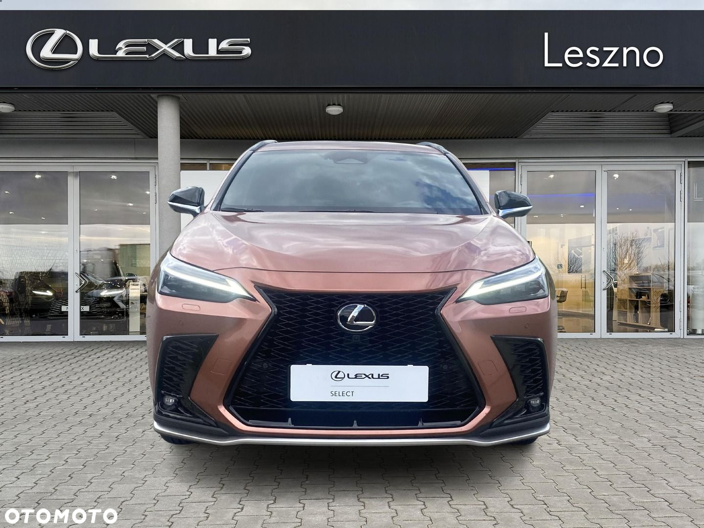 Lexus NX - 7