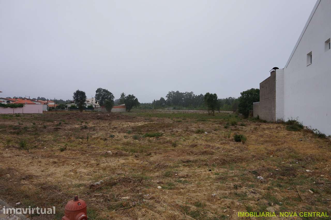 Lote de Terreno  Venda em Cantanhede e Pocariça,Cantanhede - Grande imagem: 2/10