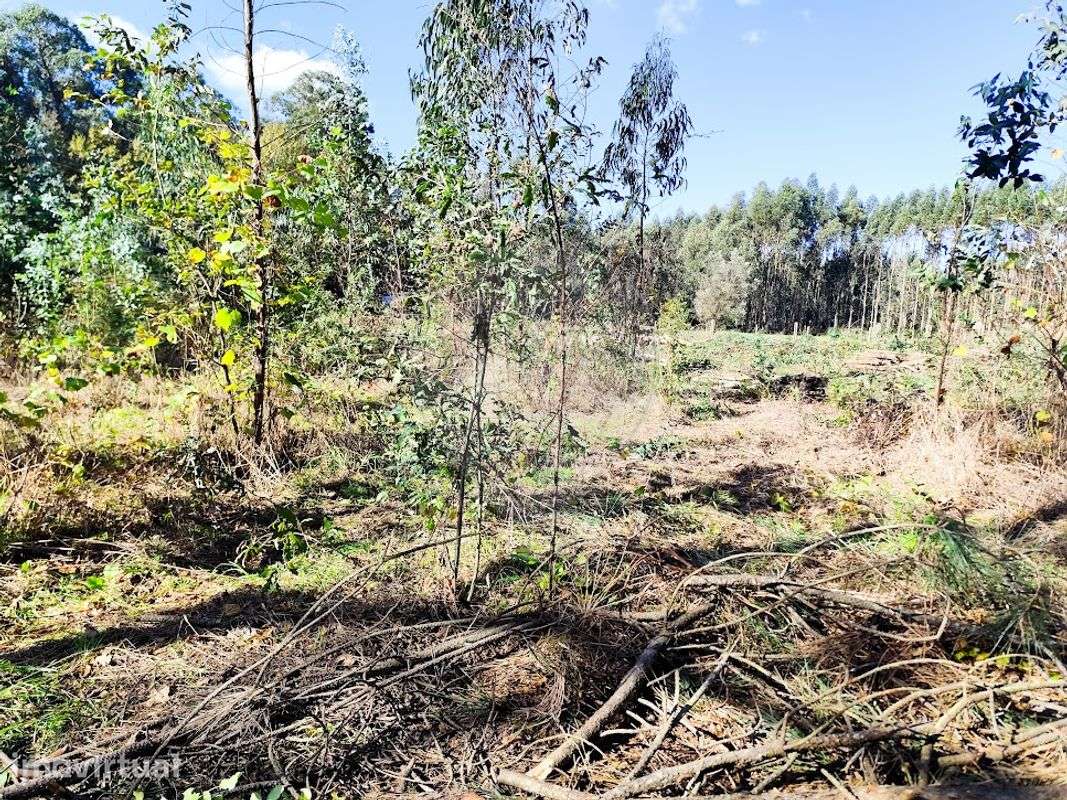 Terreno  para venda - Grande imagem: 2/3