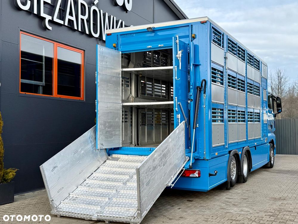 MAN TGX 26.540 // E6 // Zabudowa PEZZAIOLI // 3 poziomy hydraulika, podnoszony dach, rampa hydrauliczna // do żywca, do bydła, do transportu zwierząt - 20