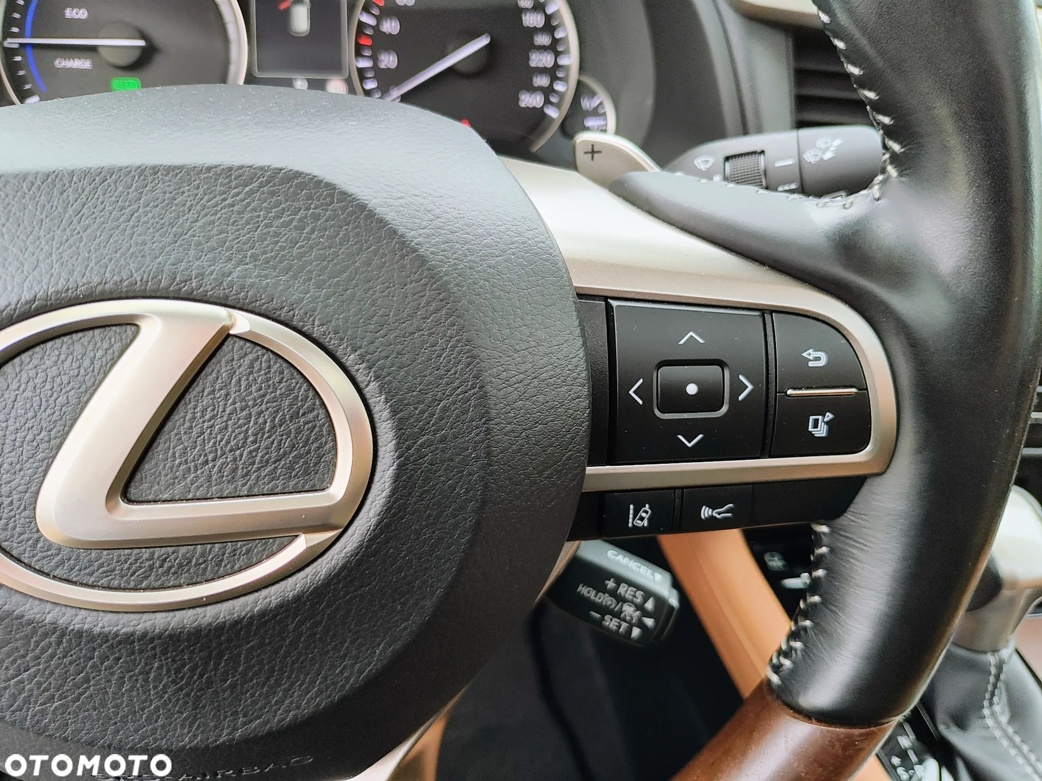 Lexus RX 450h Omotenashi - 31