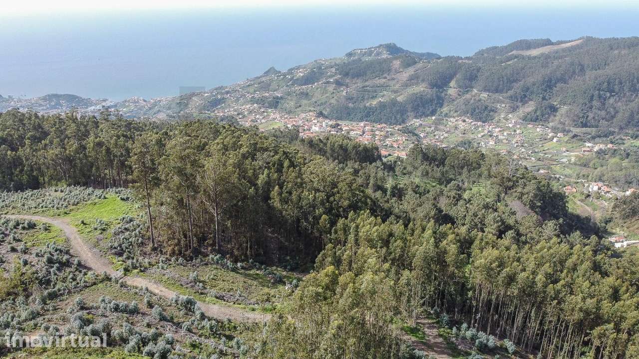 Terreno rústico 25.131 m2 | Jardim da Serra – Câmara de Lobos - Grande imagem: 4/42