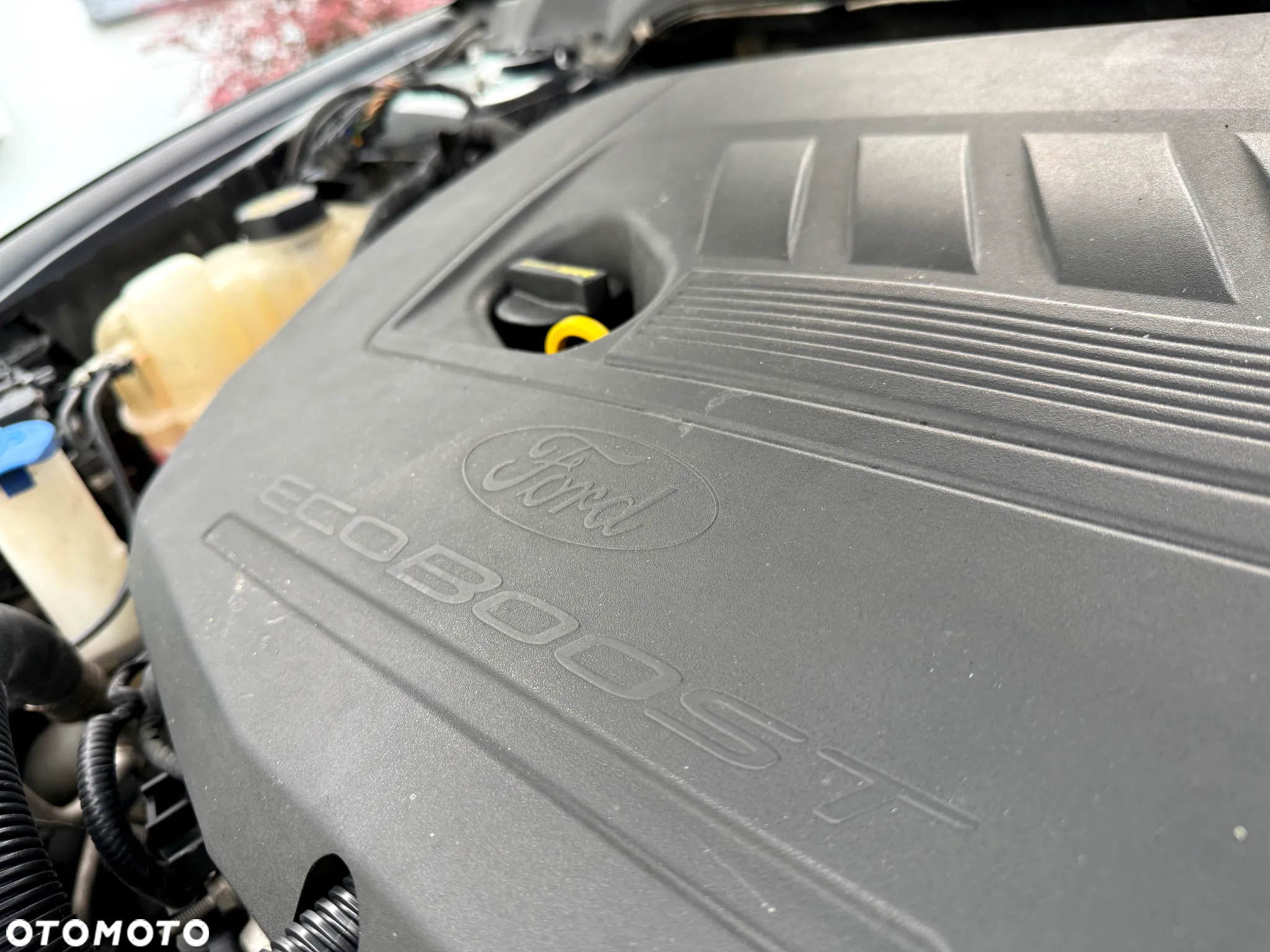 Ford Mondeo 1.5 EcoBoost Gold Edition - 25