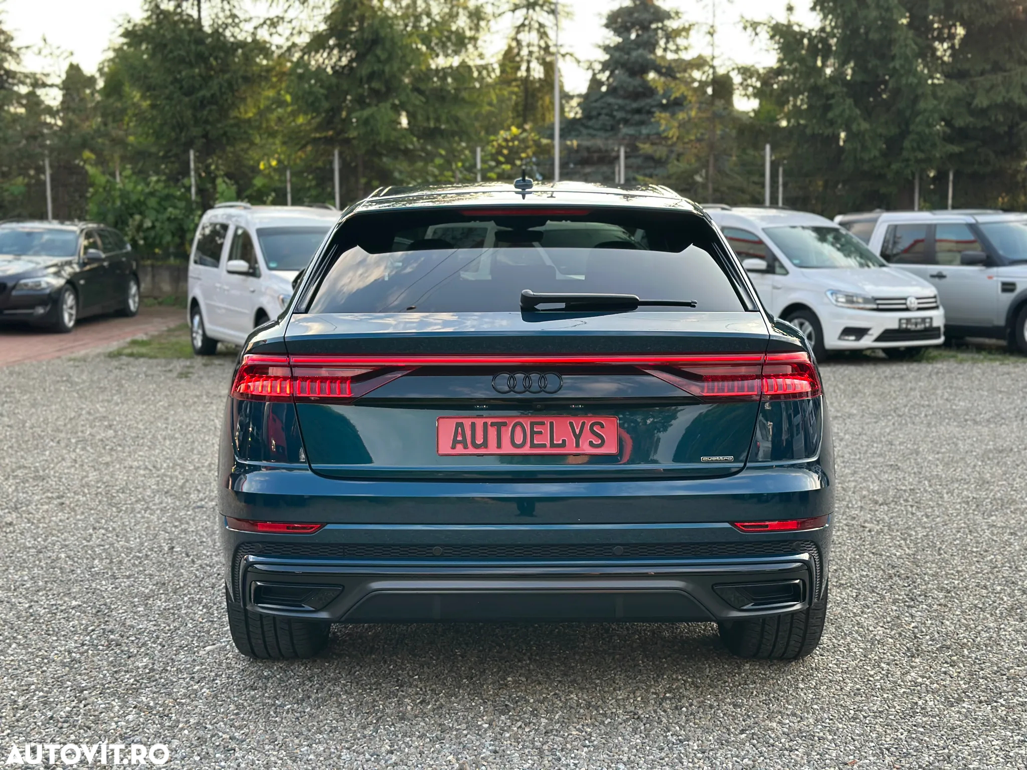 Audi Q8 3.0 50 TDI quattro Tiptronic MHEV - 6