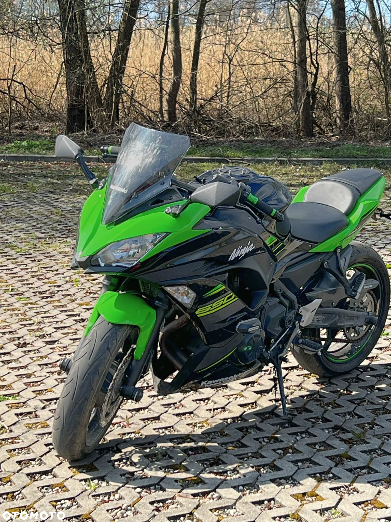 Kawasaki Ninja - 8