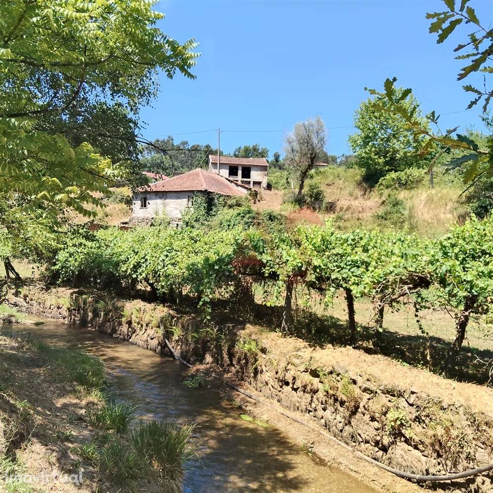 Moradias para restaurar com terreno de 41.214 m² em Borba de Godim, Fe - Grande imagem: 5/28