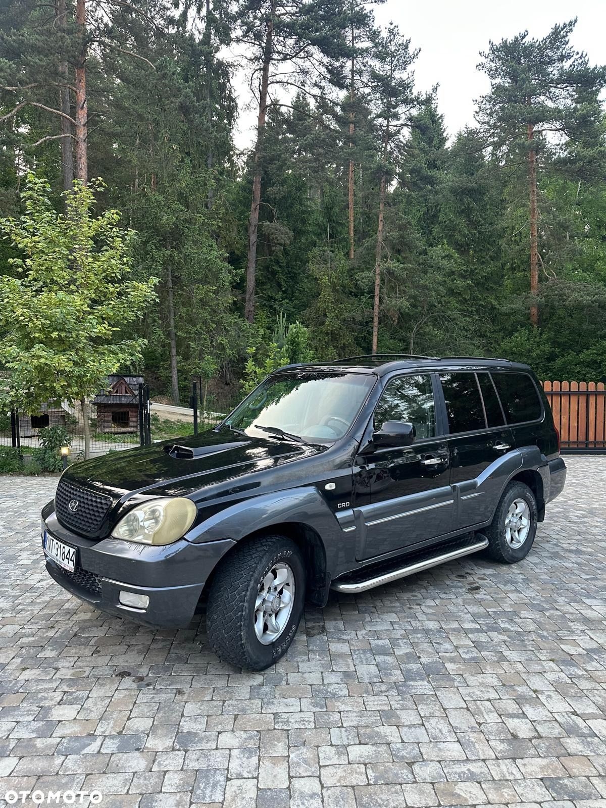 Hyundai Terracan - 1