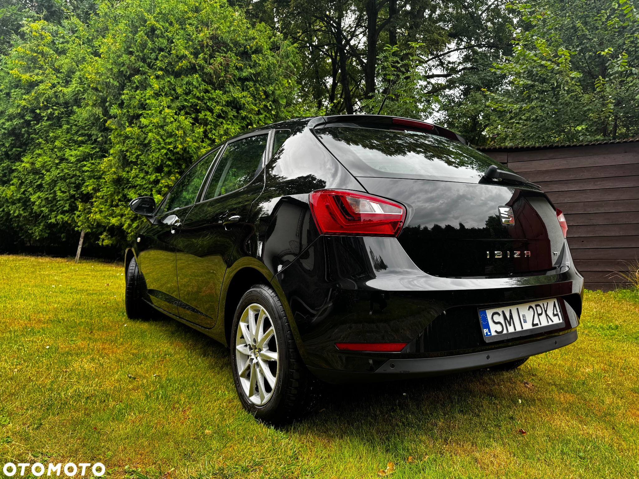 Seat Ibiza - 9