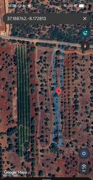 Terreno  rústico Algarve - Grande imagem: 2/6