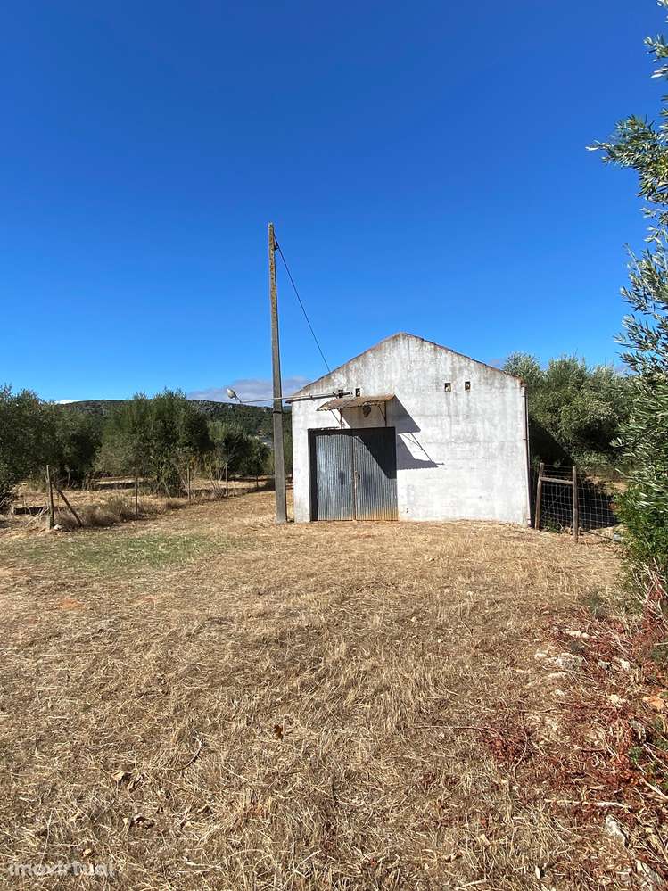 Armazém  Venda em Alcanena e Vila Moreira,Alcanena - Grande imagem: 3/6