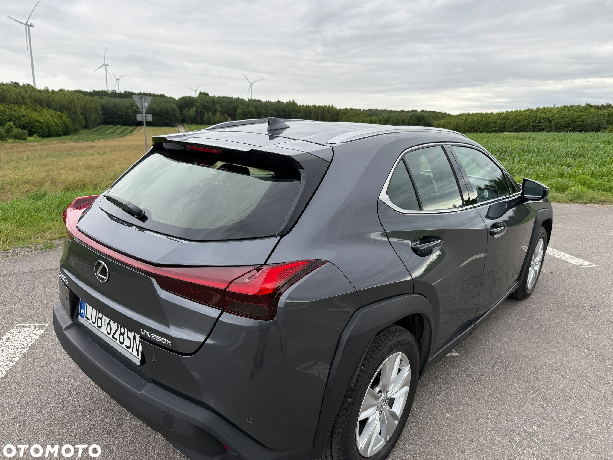 Lexus UX 250h GPF Business 2WD - 16