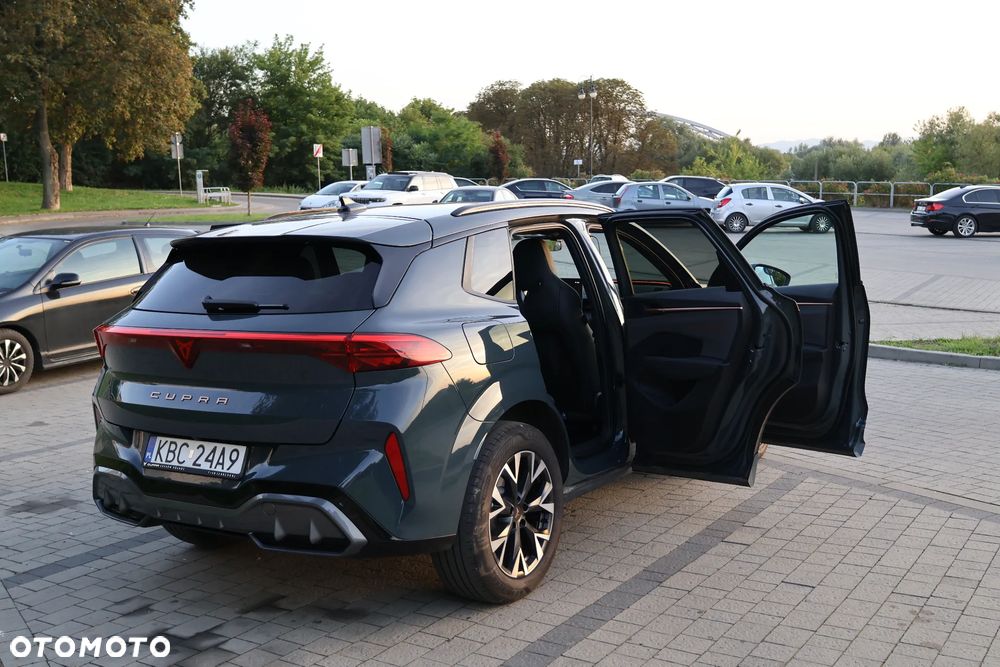 Cupra Terramar 2.0 TSI 4Drive DSG - 8