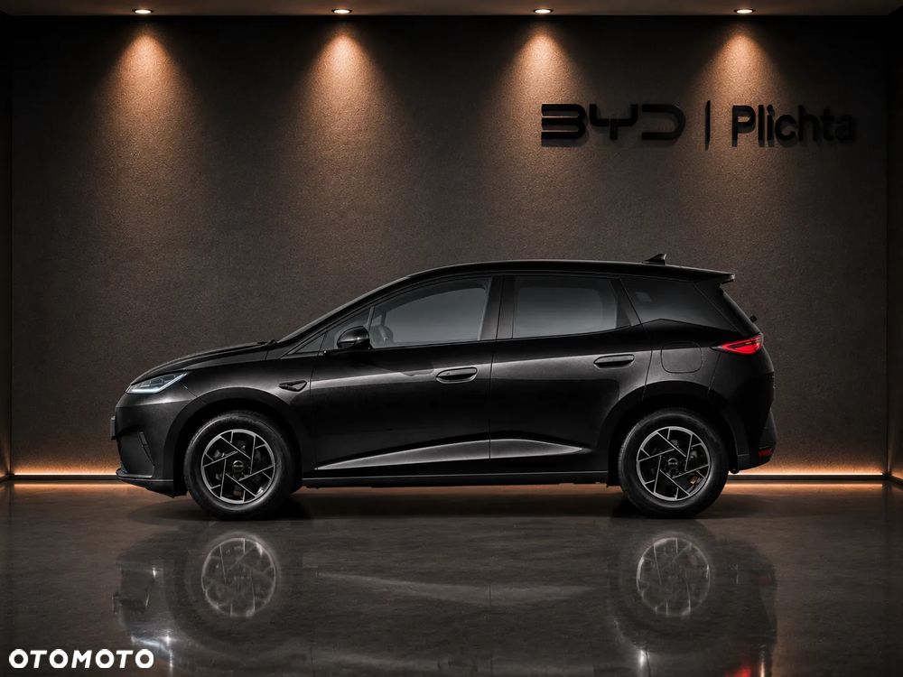 BYD Dolphin G - 5