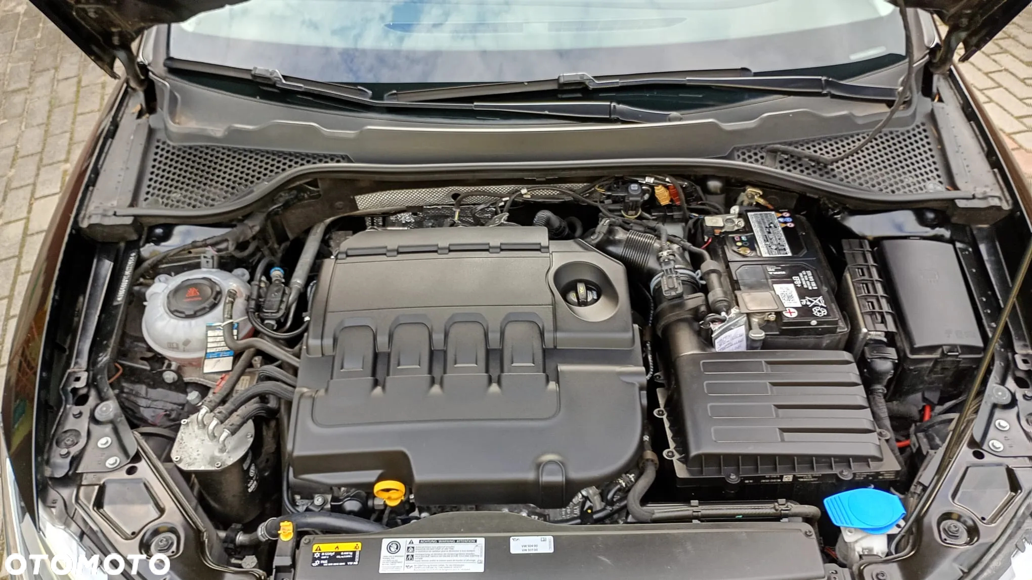 Seat Leon - 32