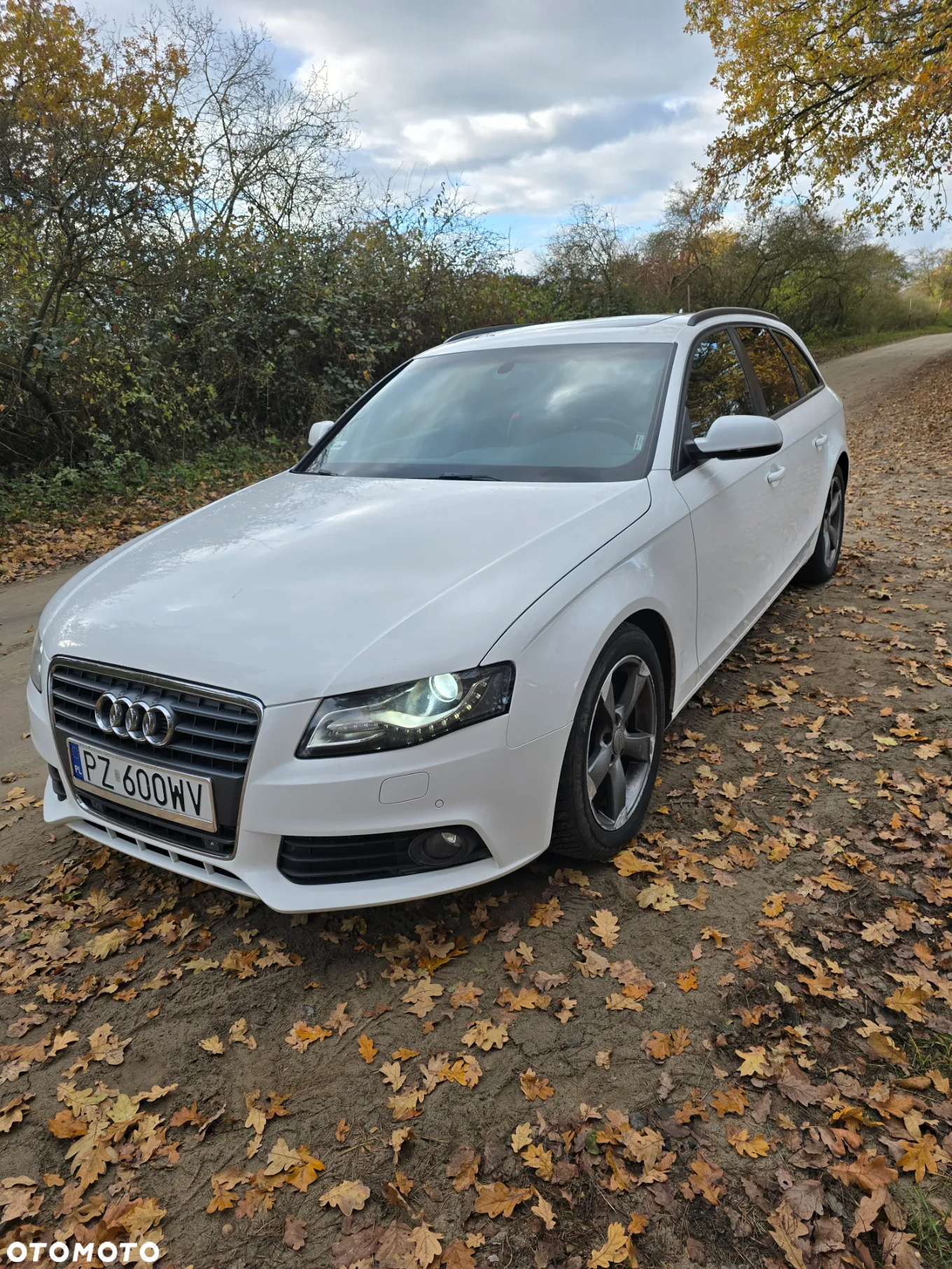Audi A4 2.0 TDI Multitronic - 2
