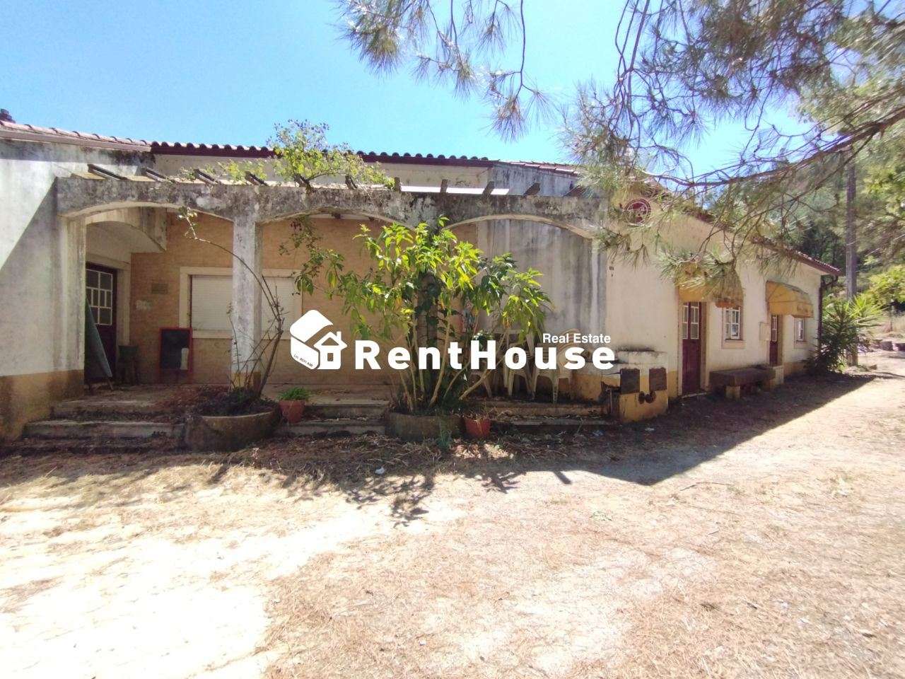 Restaurante Ribeira de Alge - Grande imagem: 2/20