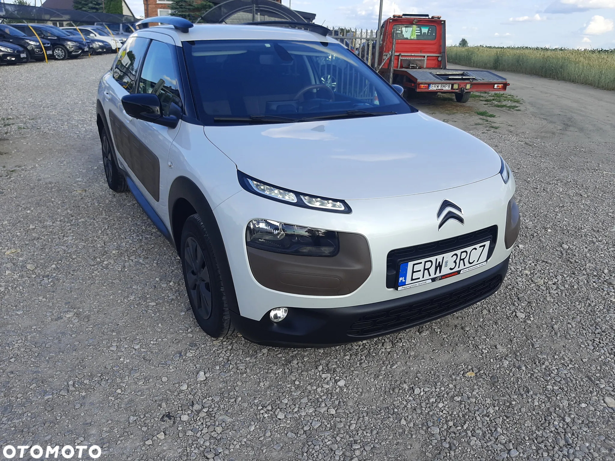 Citroën C4 Cactus 1.6 BlueHDi Live - 7