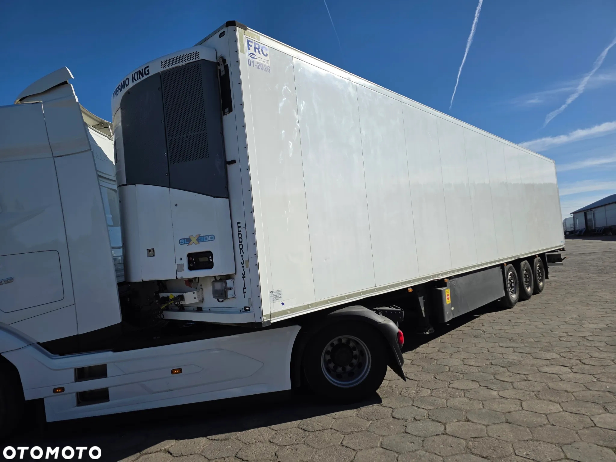 Schmitz Cargobull SKO 24 THERMO KING SLX300 - 6