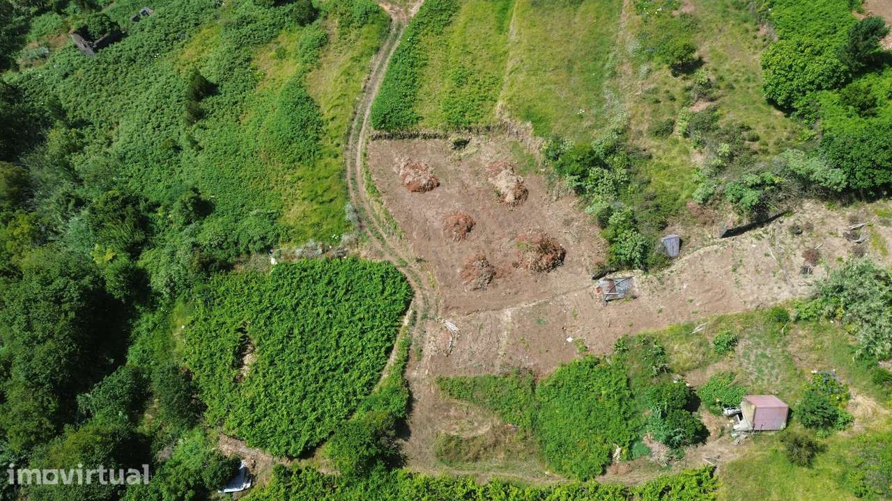 Construa a Sua Casa em São Vicente – Natureza, Tranquilidade e Potenci - Grande imagem: 2/15