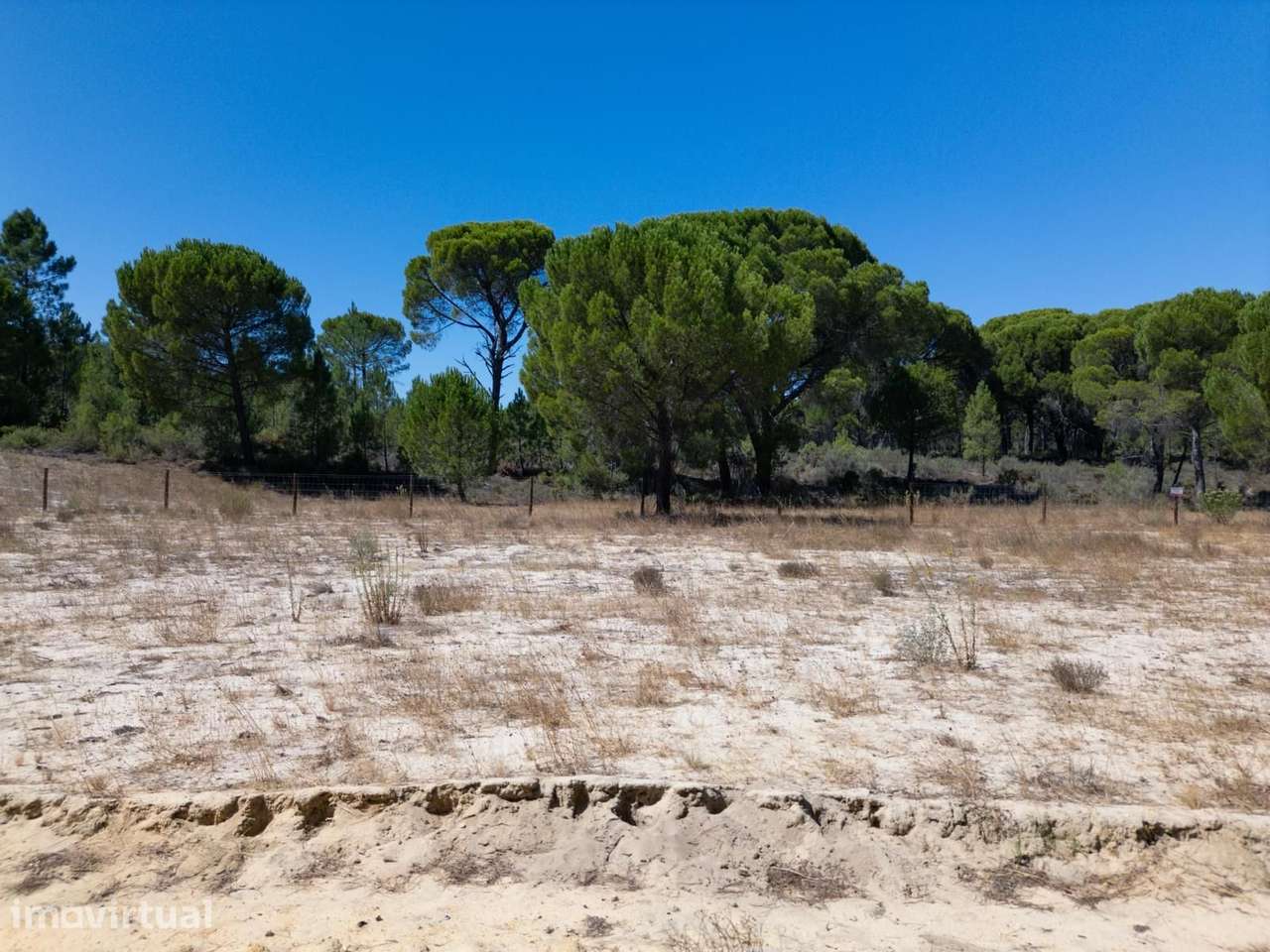 Terreno 9.4 ha, Muda, Grandola - Grande imagem: 3/25