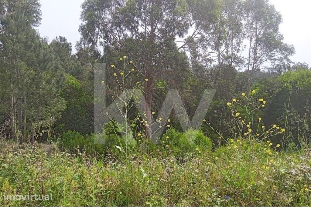 Lote de Terreno | 689m2 | Casal Fernão João | Pombal - Grande imagem: 4/14