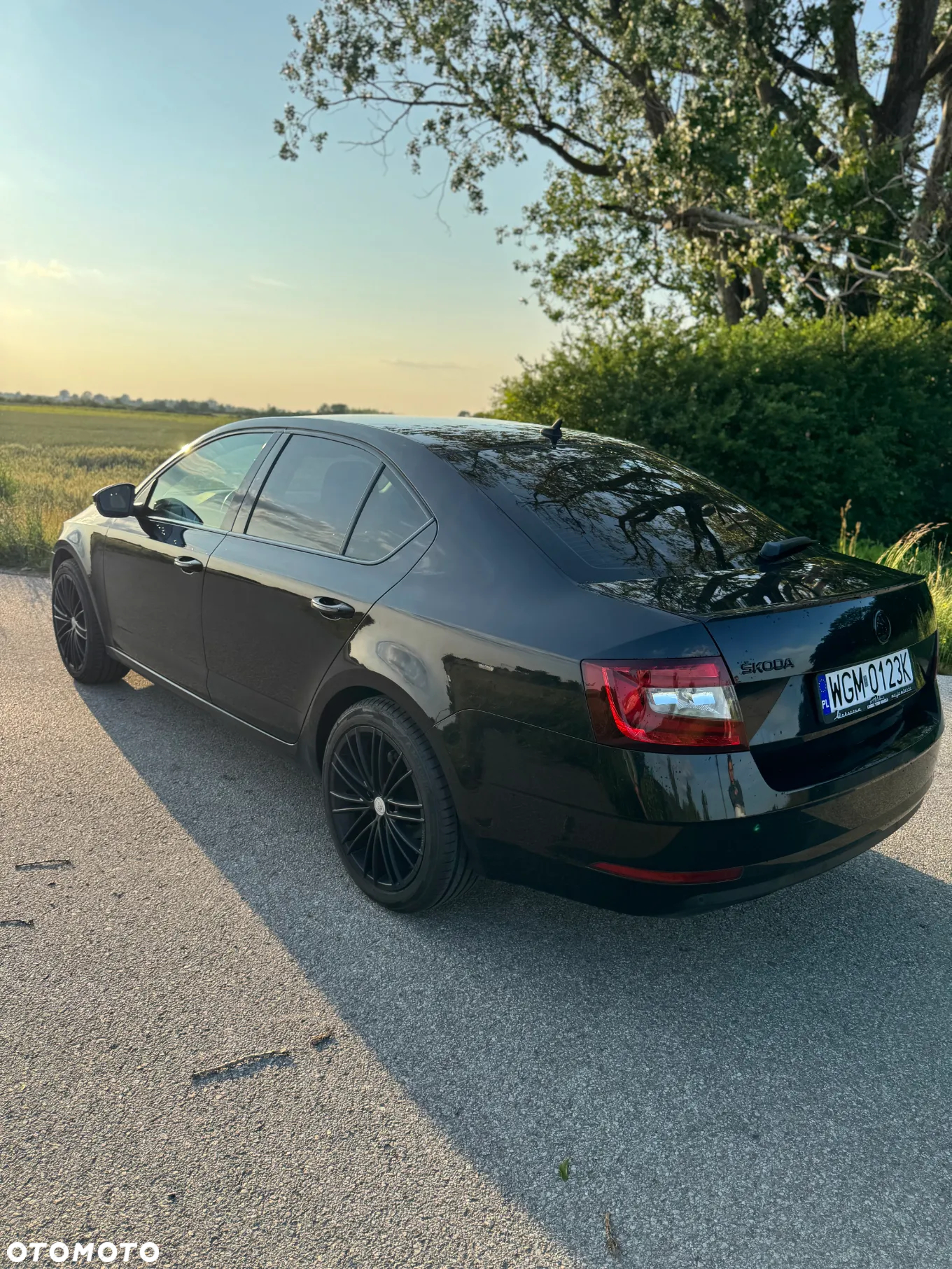 Skoda Octavia 1.5 TSI ACT Ambition DSG - 3