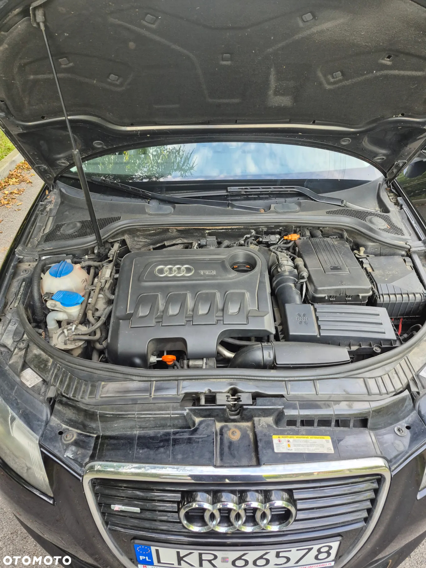 Audi A3 2.0 TDI DPF Attraction - 11
