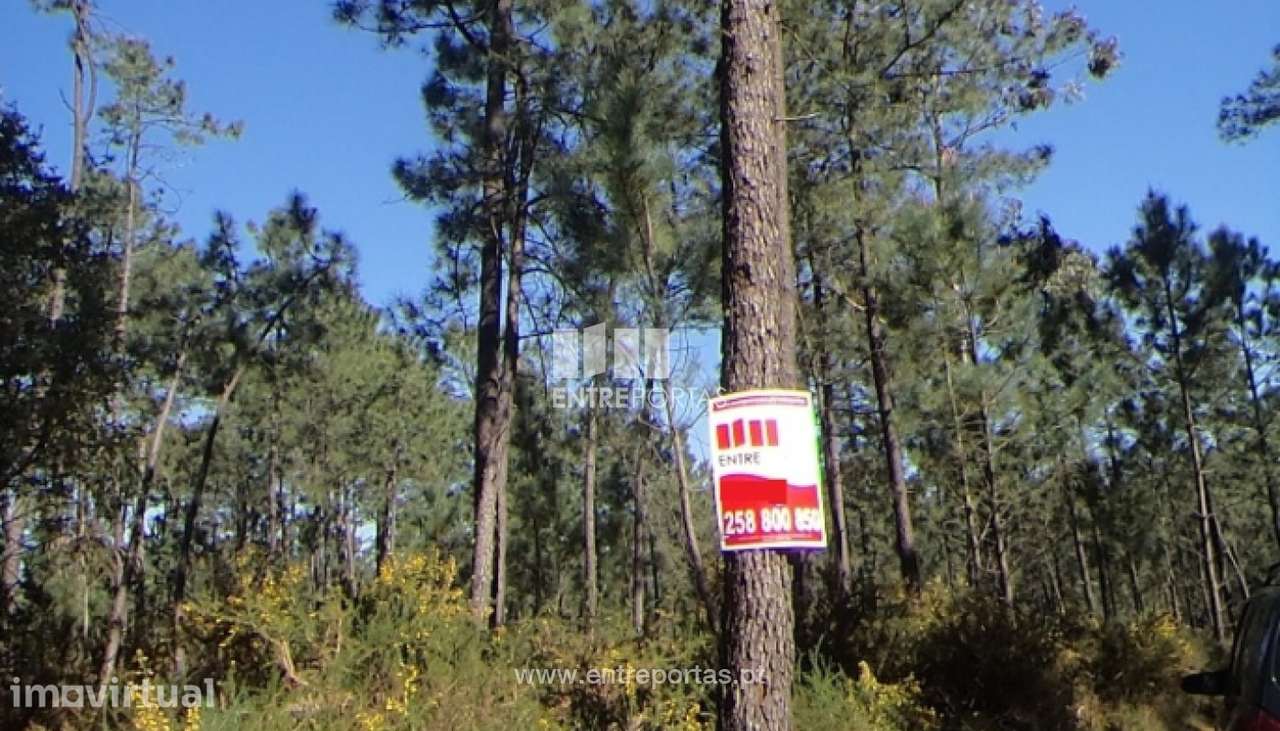 Venda de Terreno, Subportela, Viana do Castelo - Grande imagem: 3/22