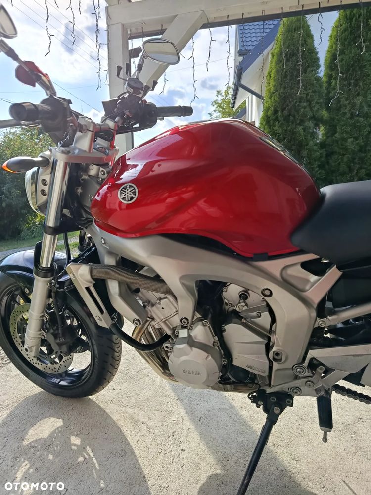Yamaha FZ6 - 5