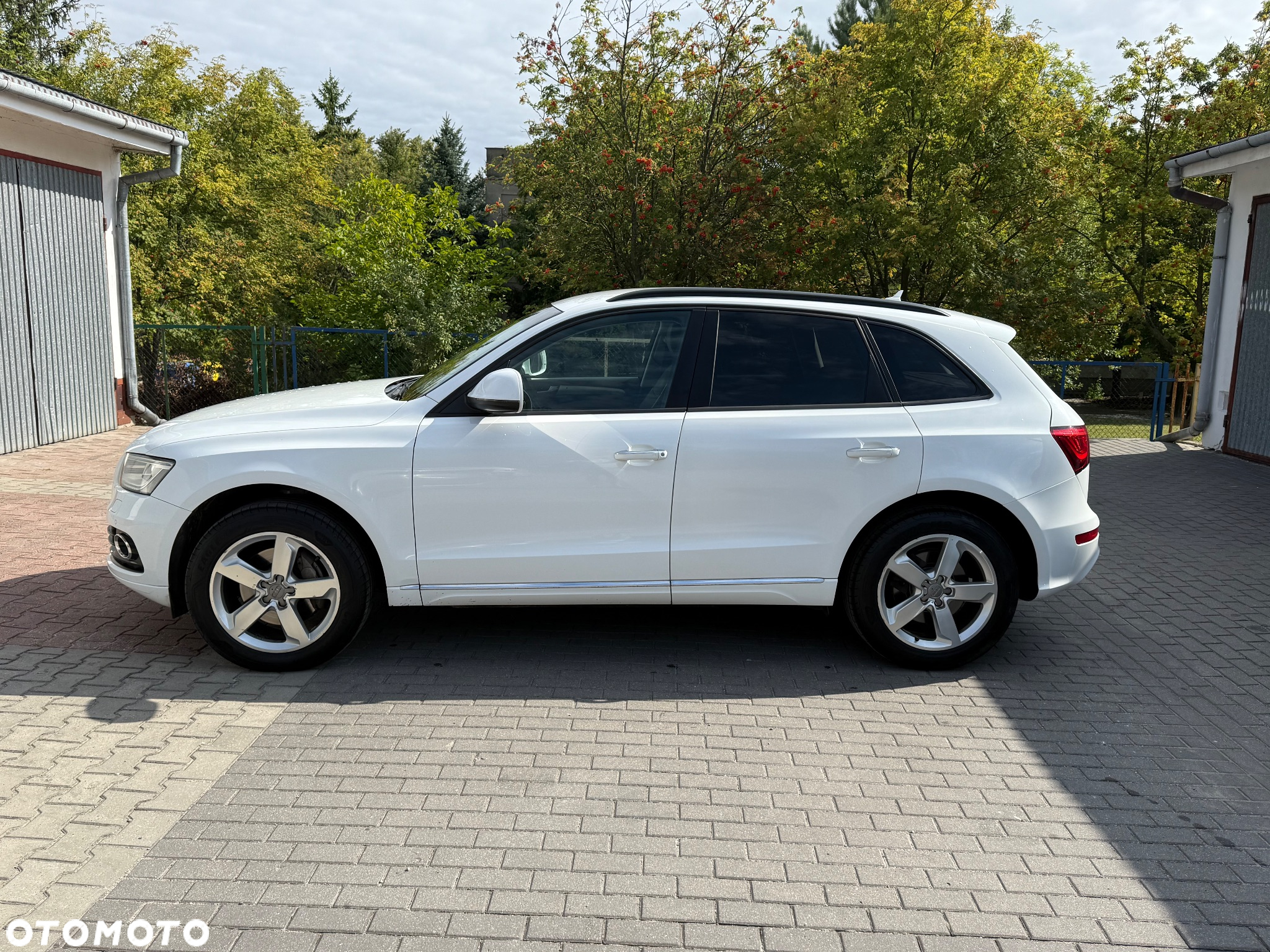 Audi Q5 3.0 TDI quattro S tronic - 5