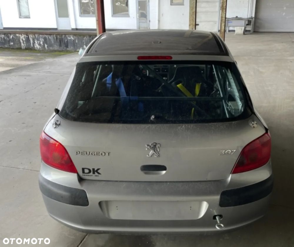 Peugeot 307 - 10