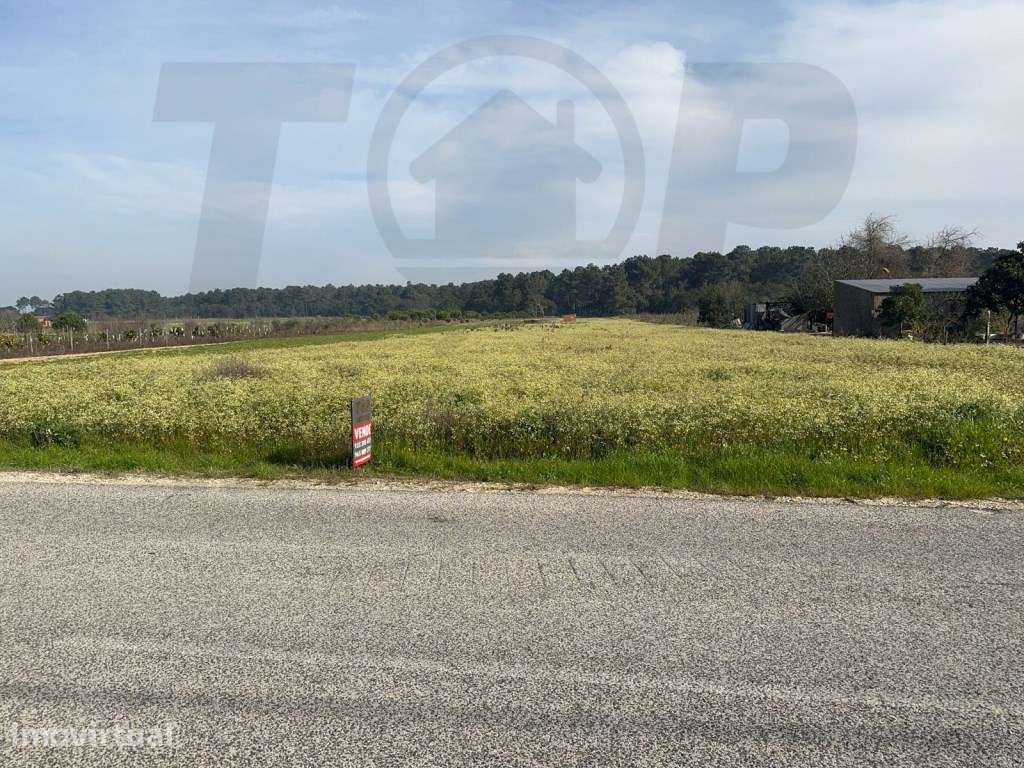 Terreno Construção - Foros de Salvaterra - 6040 M2 - 31 Mts de Fren... - Grande imagem: 2/7