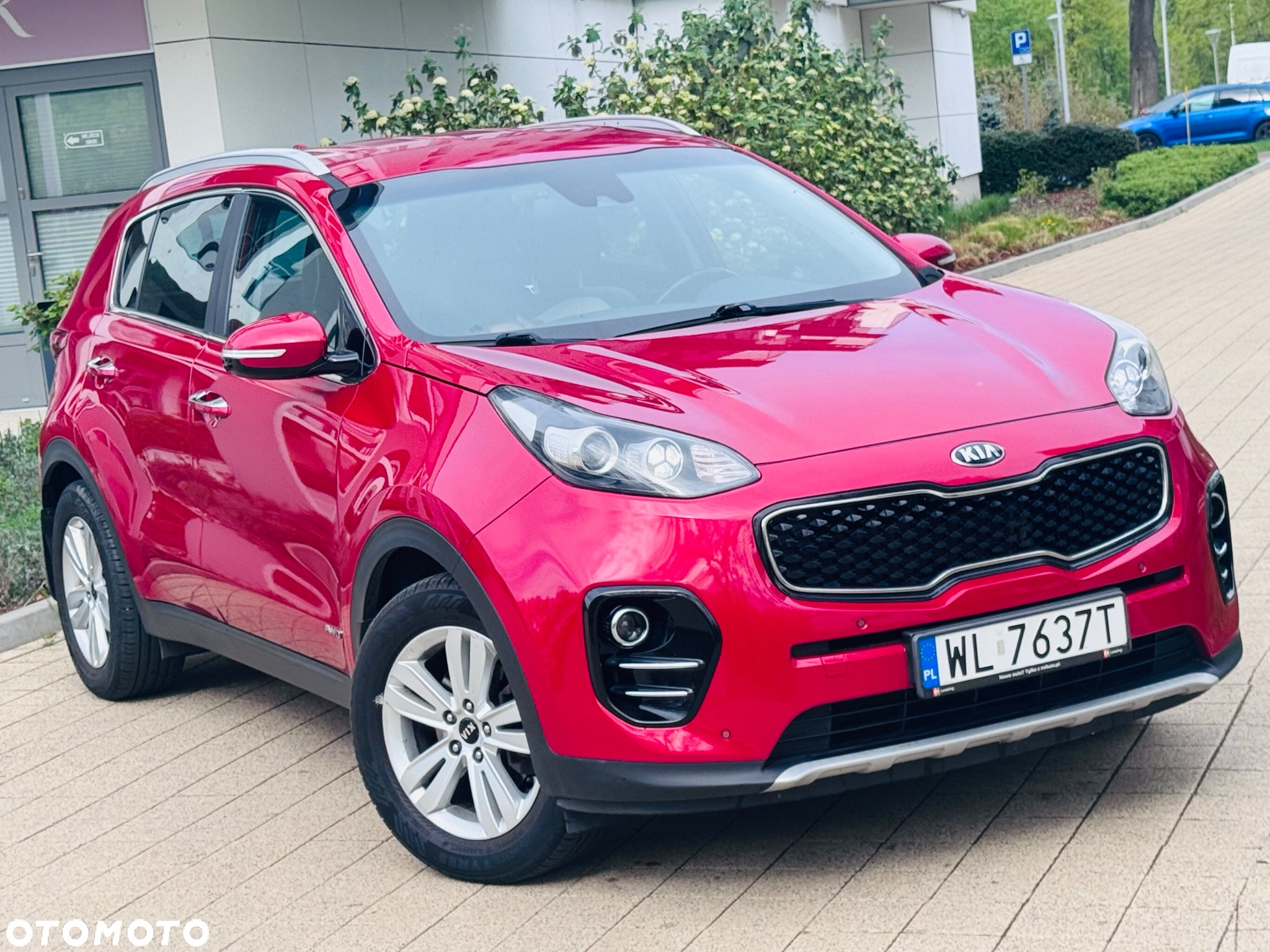 Kia Sportage 1.6 T-GDI Business Line 4WD DCT - 19