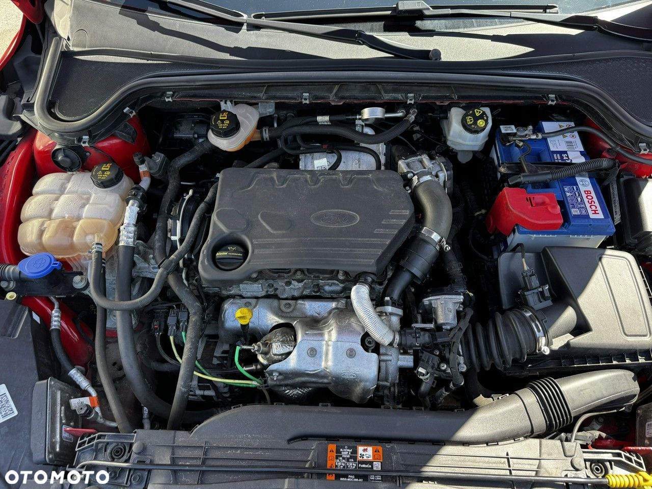 Ford Focus - 20