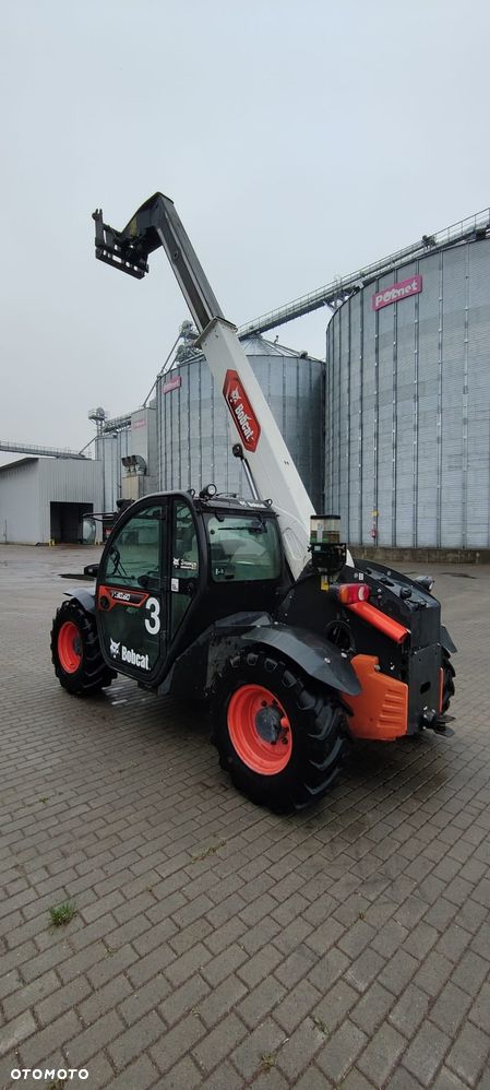 Bobcat TL30.60 - 5