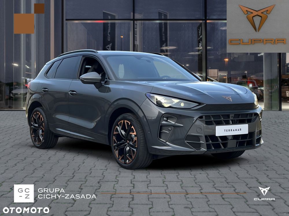 Cupra Terramar - 8