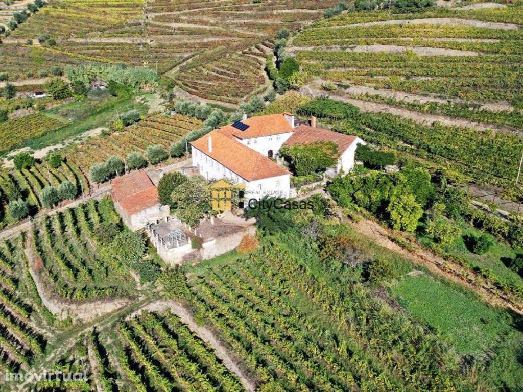 Quinta no Douro Vinhateiro com 15,6 hectares - Grande imagem: 3/44