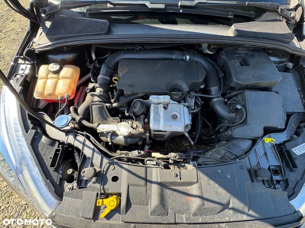 Ford Focus 1.0 EcoBoost 99g Gold X (Trend) - 23