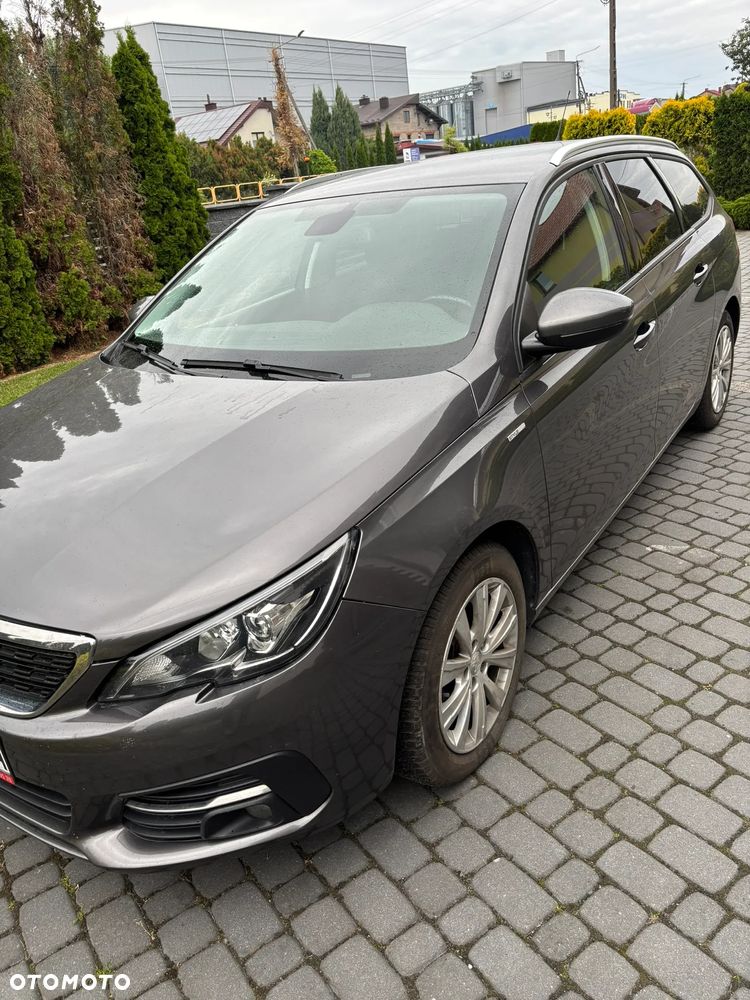 Peugeot 308 1.5 BlueHDi Business S&S EAT8 - 2