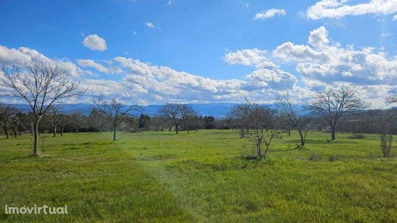 Terreno Frechão 2.2ha - Grande imagem: 2/12