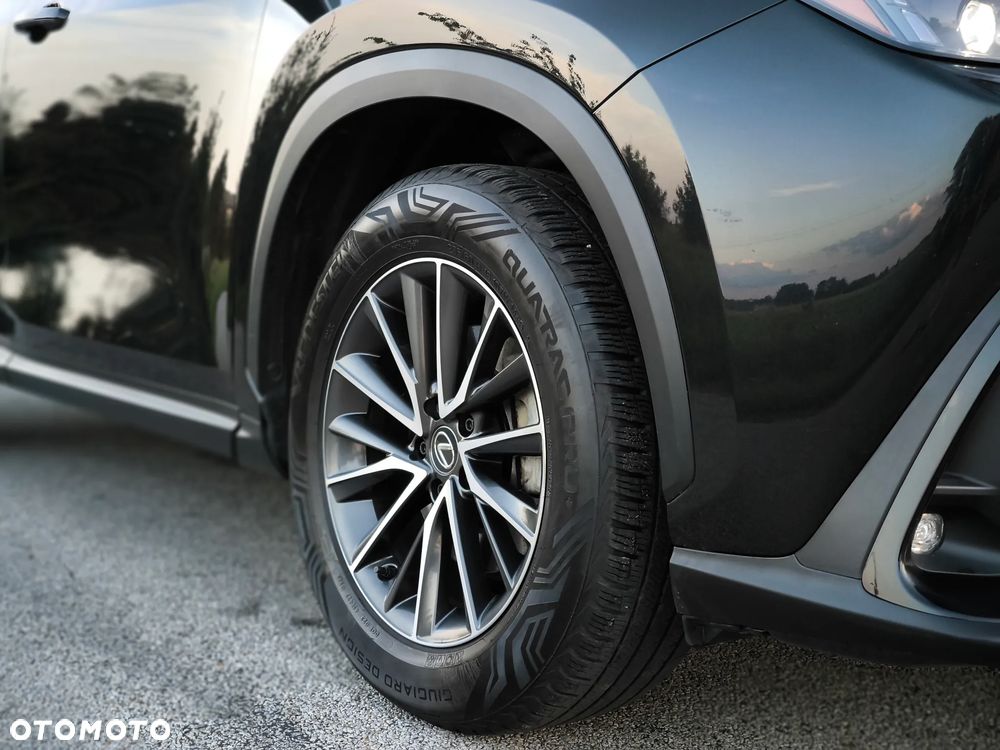 Lexus NX - 14